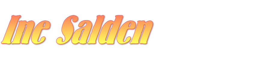 Neonroze tekst “Inc. Salden” op zwarte achtergrond, gestileerde letters met afgeronde vormen en schaduw.